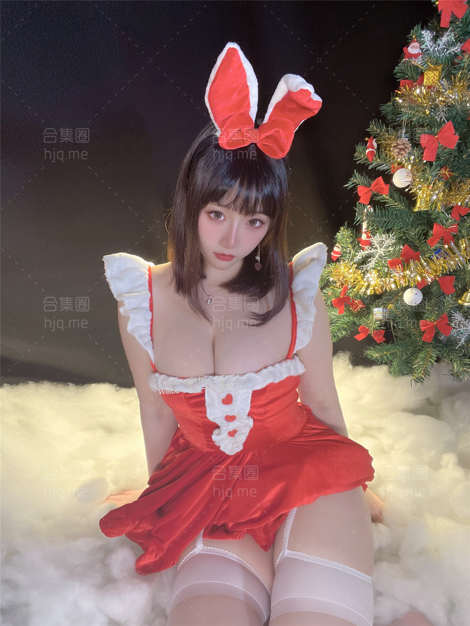 是一只废喵了 - 作品合集资源下载