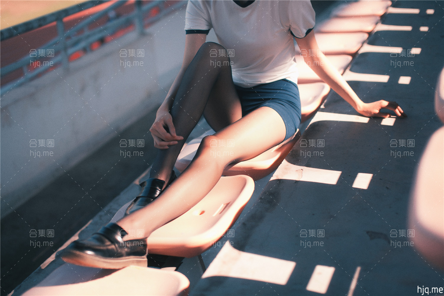 沧霁桔梗 - 作品合集资源下载