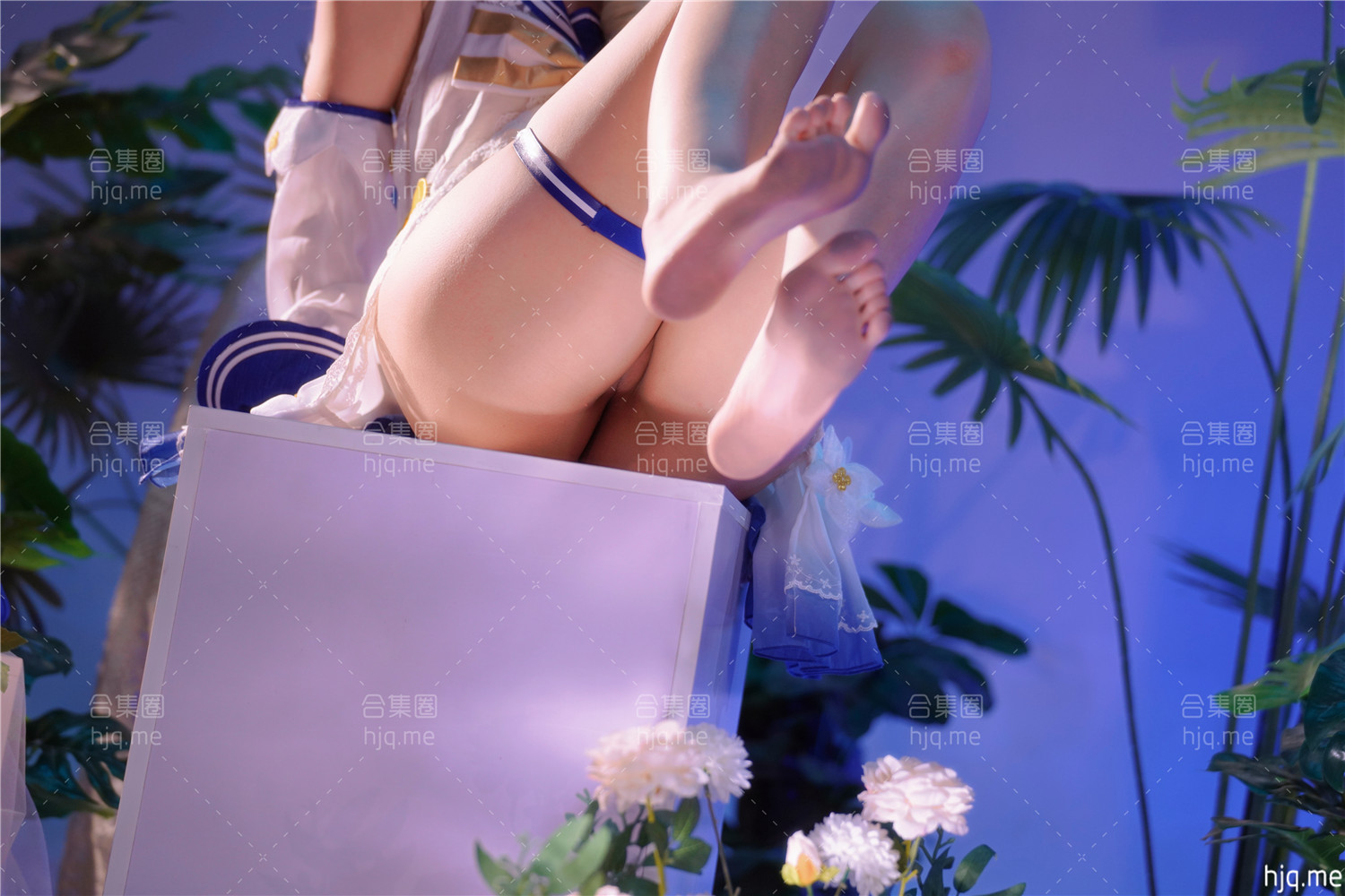 刺猬小姐 - 作品合集资源下载
