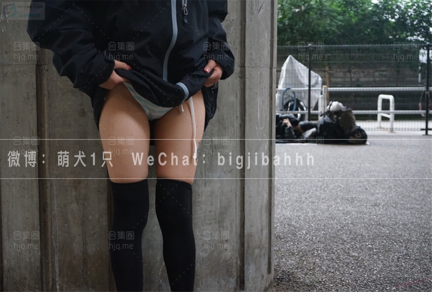 萌犬一只 - 作品合集资源下载